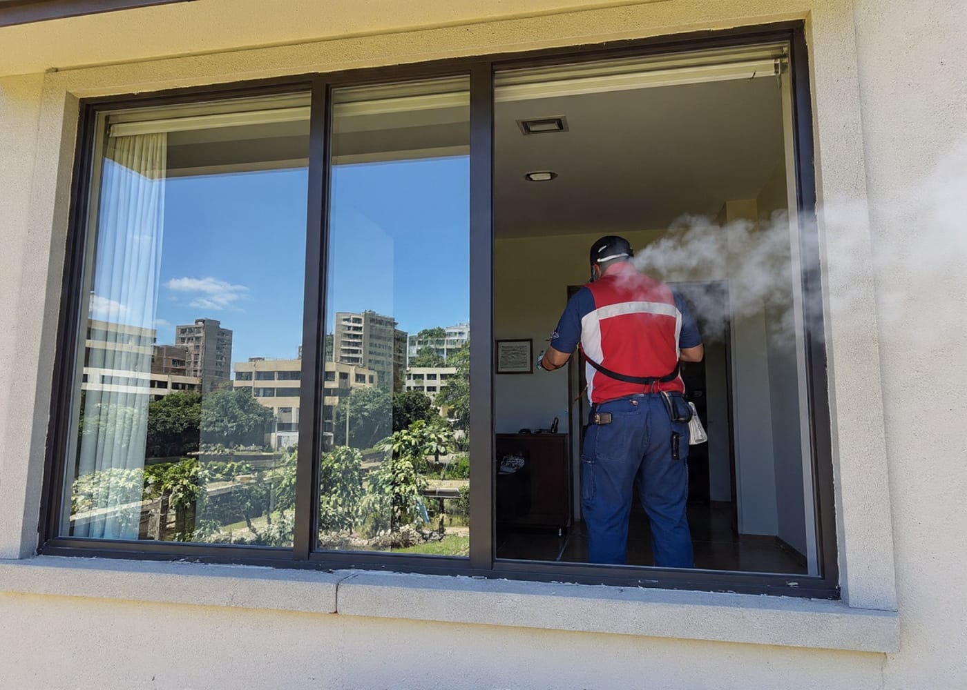 أفضل شركة رش حشرات في المنيل