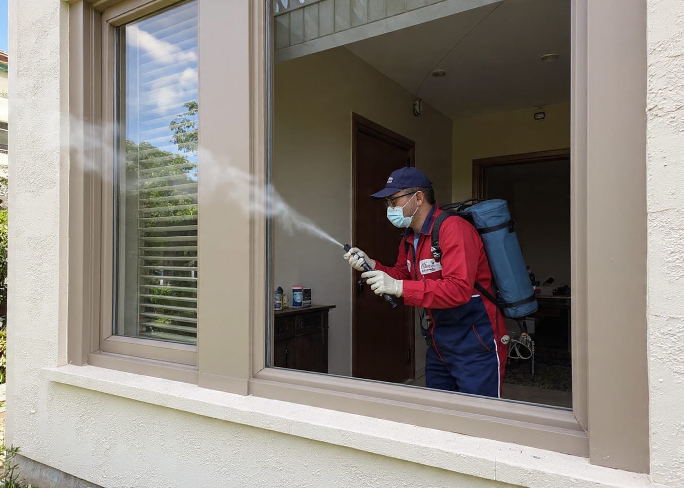 القضاء على بق الفراش