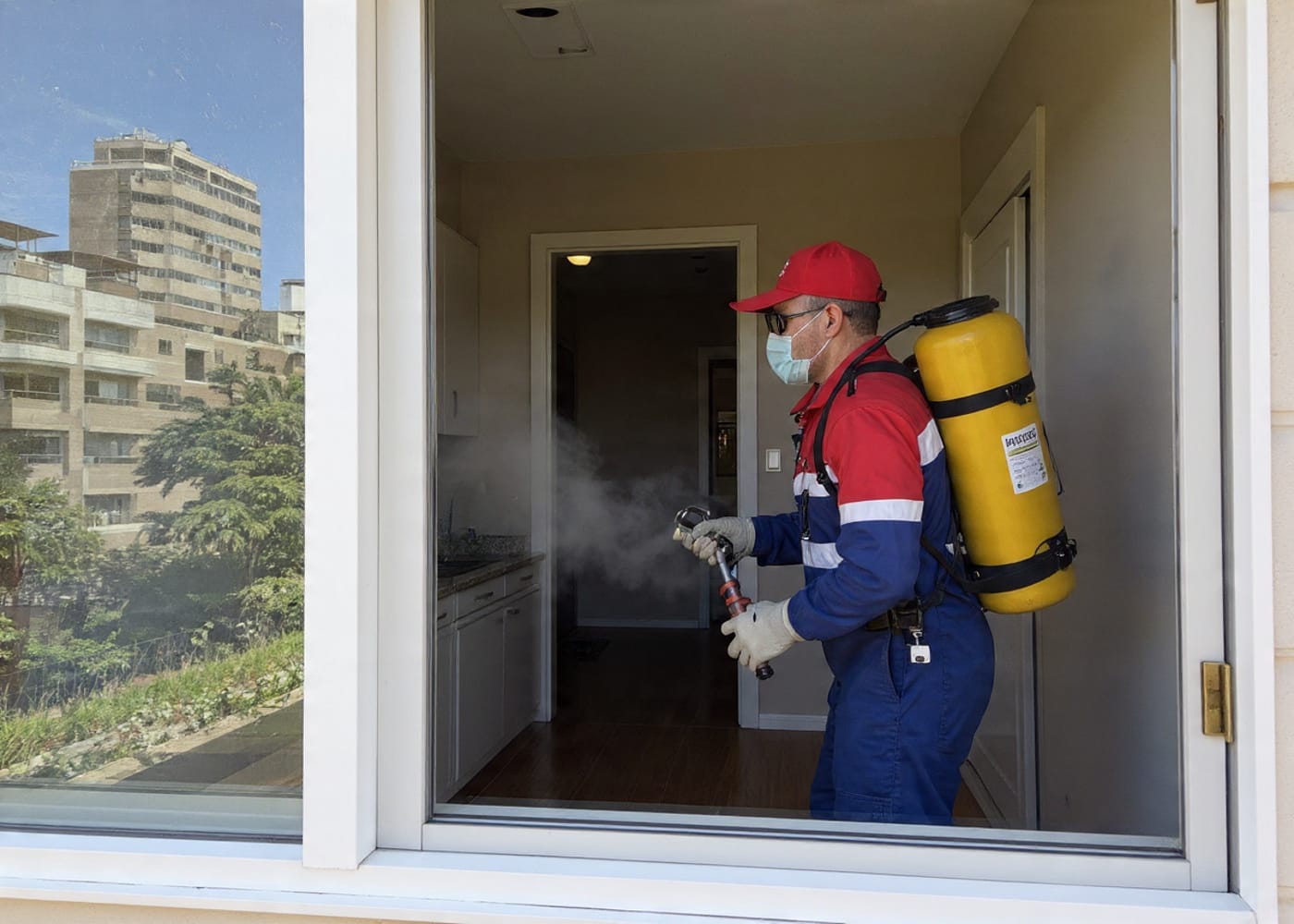 أرقام شركة مكافحة حشرات في المنيل