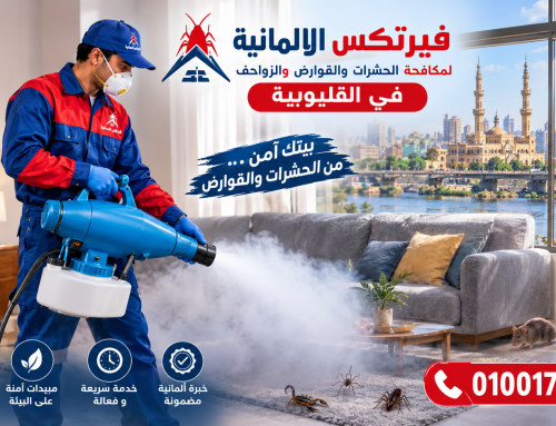 شركة مكافحة حشرات في القليوبية 01001795907 خصم 50%